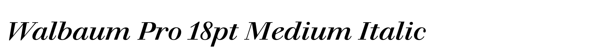 Walbaum Pro 18pt Medium Italic image